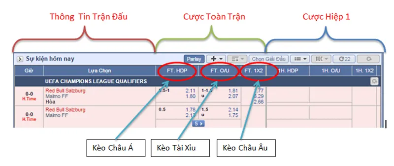 Môn thể thao phổ biến trong cá cược thể thao
