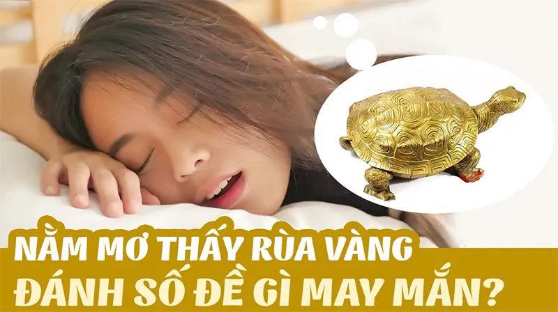 Giải mã chi tiết giấc mơ thấy rùa theo từng tình huống cụ thểGiải mã mơ thấy rùa đánh con gì