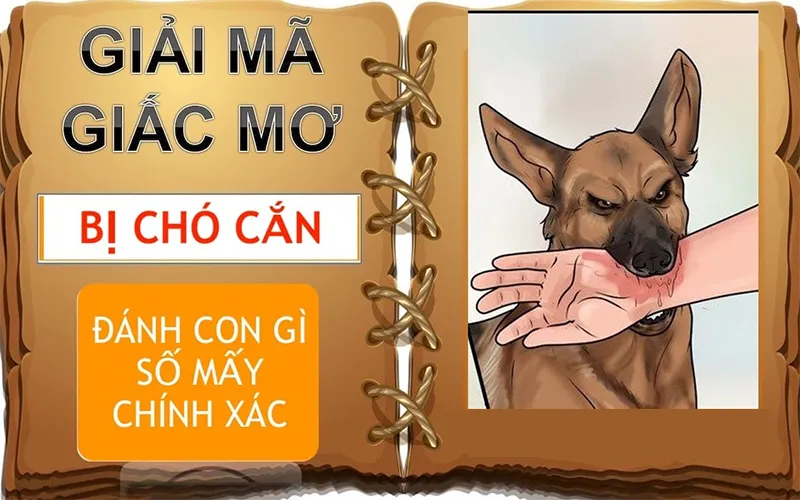 mơ chó cắn đánh con gì
