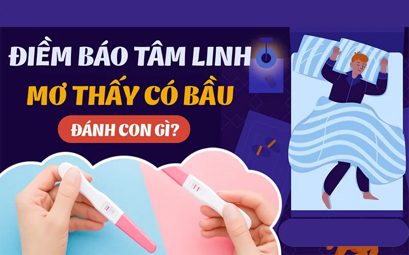 mơ có bầu đánh con gì