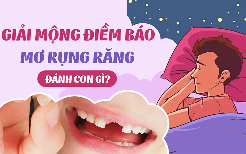mơ gãy răng đánh con gì