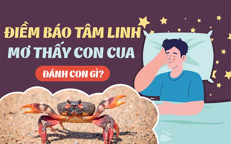 mơ thấy cua đánh con gì