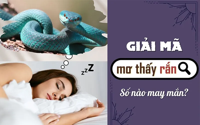 mơ thấy rắn đánh con gì