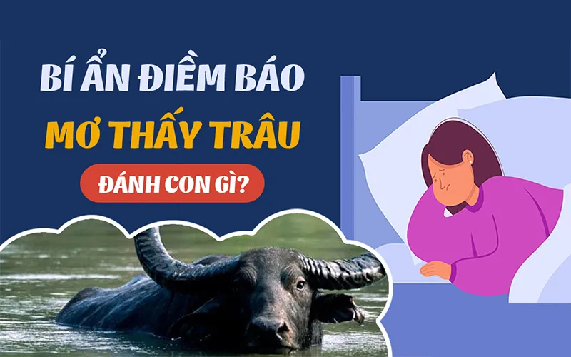mơ thấy trâu đánh con gì
