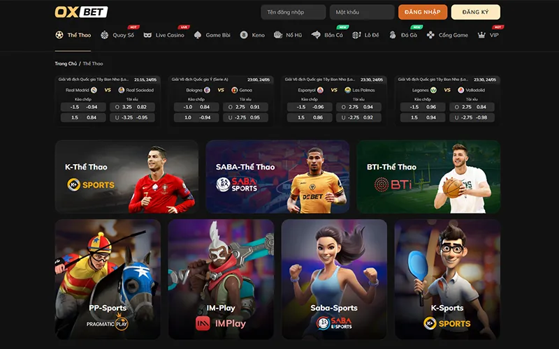 Cá cược thể thao tại OXBET với tỷ lệ kèo cập nhật sát thực tế