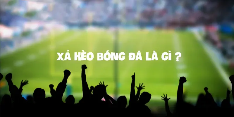 Xả kèo bóng đá Nhà Cái Uy Tín mang đến lợi nhuận lớn