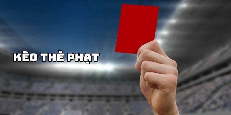 Các trường hợp có khả năng xảy ra phạt cần nắm