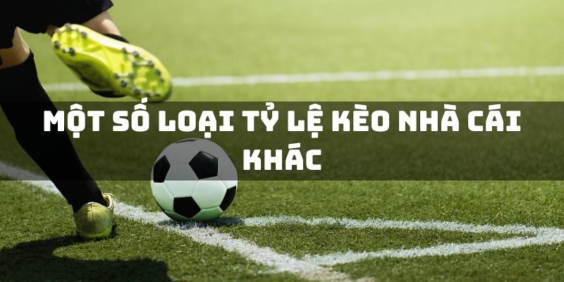 Giới thiệu một vài hình mức chấp phổ biến trong Asia Handicap