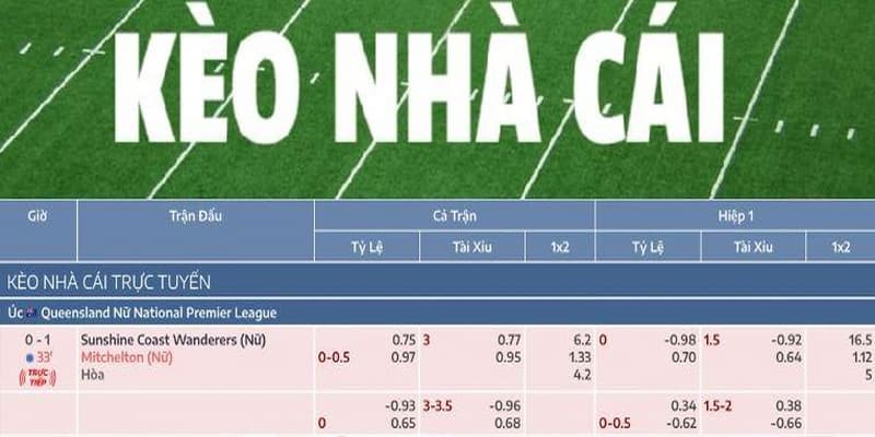 Mỗi kèo tỷ lệ nhà cái đều được phân tích kỹ lưỡng
